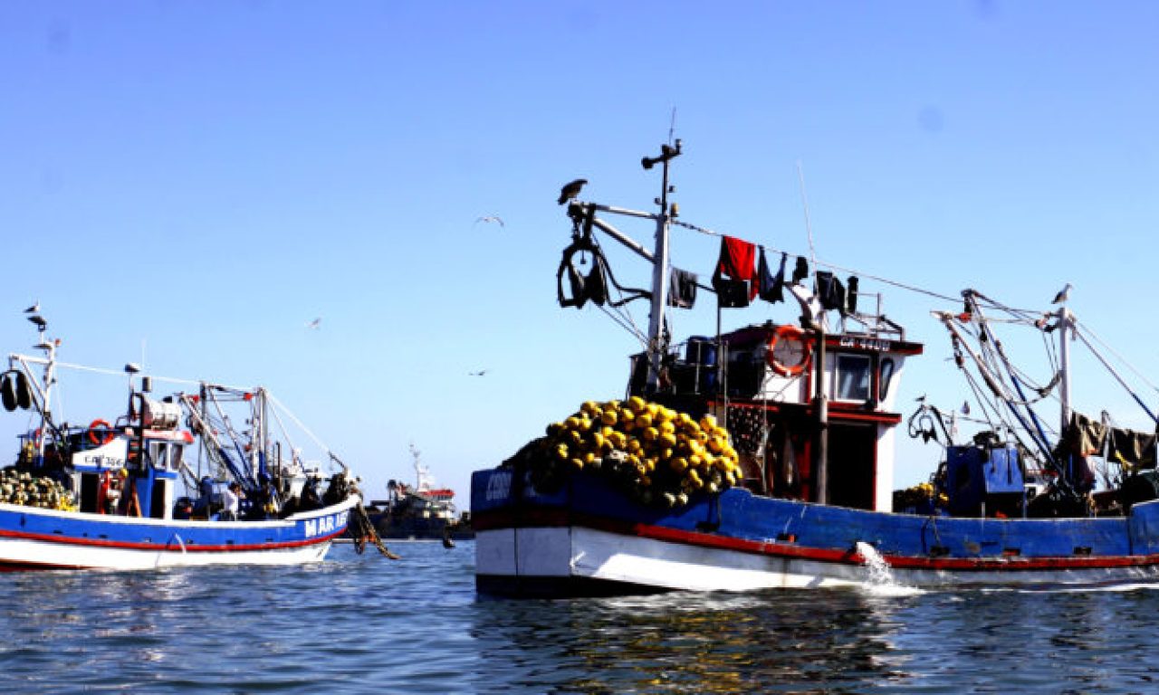 10 Marzo de 2015/ CORONEL
Desembarques en la caleta lo Rojas, Coronel, durante el inicio de la temporada de sardina y anchoveta en la región del Bíobio para las embarcaciones menores de 15 metros que no posean el sistema Sonar, y que desde el 6 de marzo y por un periodo de 10 días podrán acceder a estos recursos libremente. Los pescadores reclaman que en esta temporada las sardinas miden solo 7cm lo cual es un error por parte de la administración pesquera en conjunto con el comité científico. Pesca artesanal en caleta lo Rojas, Coronel.
FOTO:MARIBEL FORNEROD/AGENCIAUNO